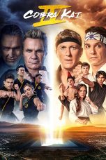 Cobra Kai Season 4 (2021) Cobra Kai Season 4 (2021)